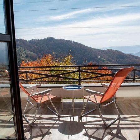 Apartman Andjela 카파오닉 외부 사진